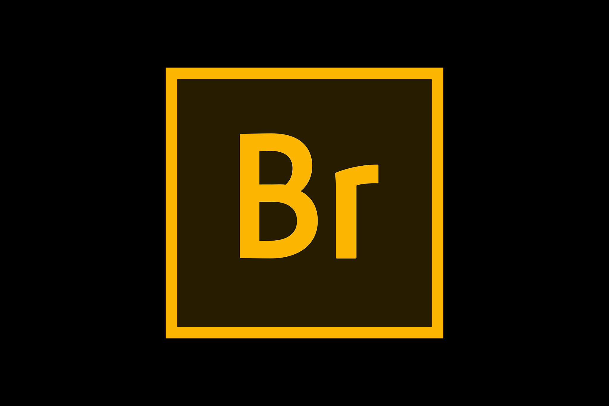 The Adobe Bridge logo with box and letters Br